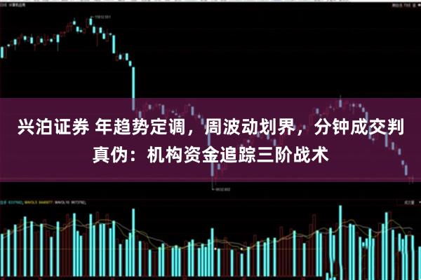 兴泊证券 年趋势定调，周波动划界，分钟成交判真伪：机构资金追踪三阶战术