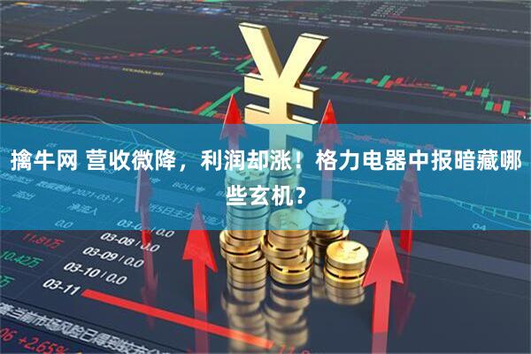 擒牛网 营收微降，利润却涨！格力电器中报暗藏哪些玄机？