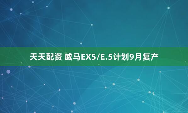 天天配资 威马EX5/E.5计划9月复产