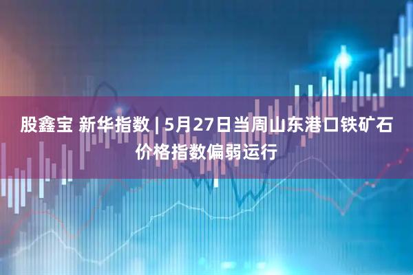 股鑫宝 新华指数 | 5月27日当周山东港口铁矿石价格指数偏弱运行