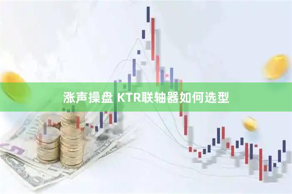 涨声操盘 KTR联轴器如何选型
